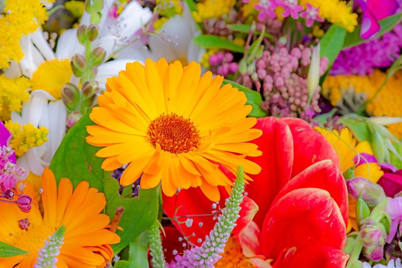 Kleurrijk boeket van ManfredFotos