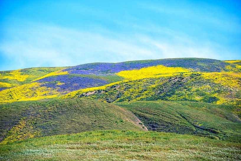 Awash In Color - Landscape Beauty by Joseph S Giacalone Photography