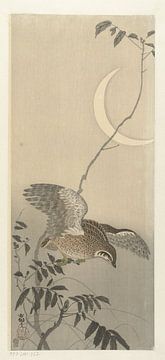 Caille au croissant de lune, Ohara Koson
