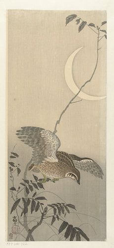 Wachtel bei Mondsichel, Ohara Koson