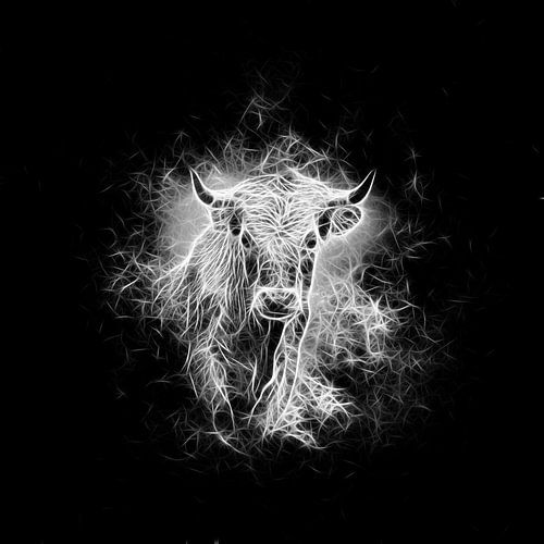 Bull