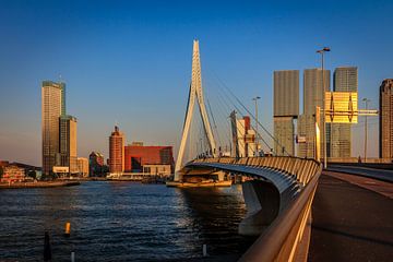 Rotterdam van Brandon Lee Bouwman