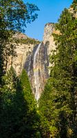 Waterval Yosemite nationaal park