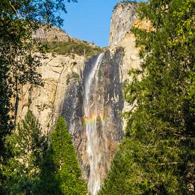 Waterval Yosemite nationaal park von Michelle van den Hondel