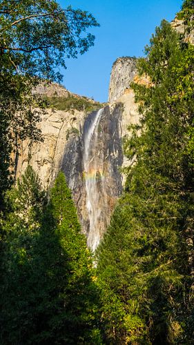 Waterval Yosemite nationaal park