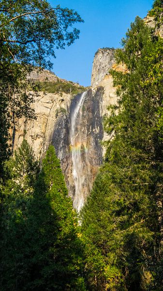 Waterval Yosemite nationaal park par Michelle van den Hondel