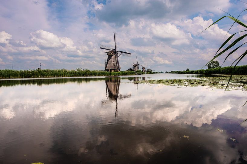Windmills on the Kinderdijk. by Brian Morgan