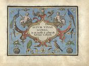 Titelkarte für Avium vivae Icones von Adriaen Collaert, 1570 - 1616 von Gave Meesters Miniaturansicht