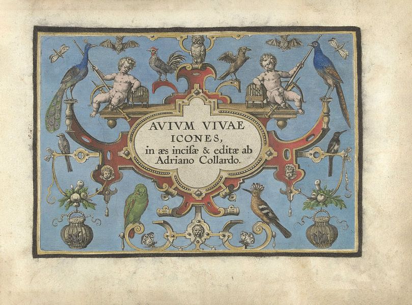 Titelkarte für Avium vivae Icones von Adriaen Collaert, 1570 - 1616 von Gave Meesters