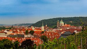 Vignoble de St. Venceslas à Prague