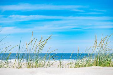 Zomer op  Vlieland.