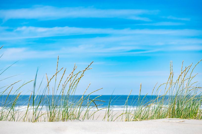 L'été sur Vlieland. par Ron van der Stappen