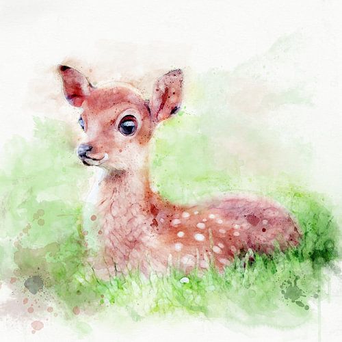 fawn