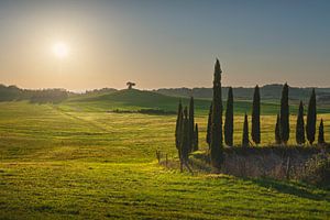 Landschaft in der Maremma. Sanfte Hügel und Bäume. Toskana
