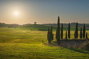 Landschap in de Maremma. Glooiende heuvels en bomen. Toscane van Stefano Orazzini