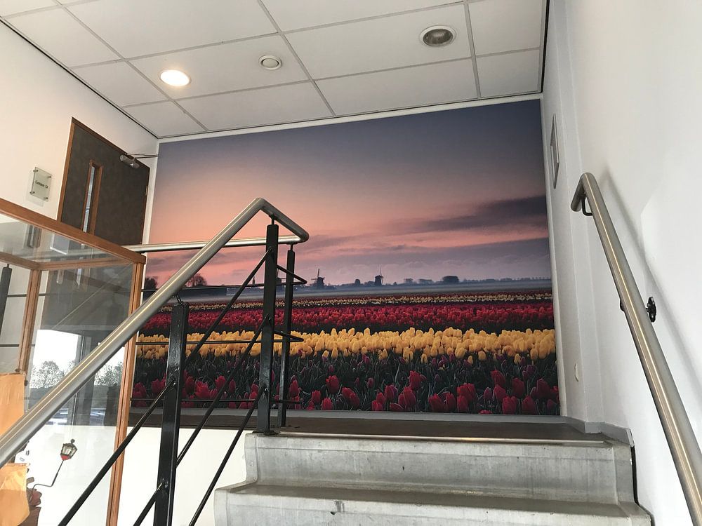 Tulipes au lever du soleil  par John Leeninga 