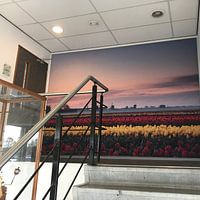 Photo de nos clients: Tulipes au lever du soleil par John Leeninga, sur art frame