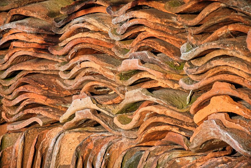 Historic roofing by Natuurpracht   Kees Doornenbal