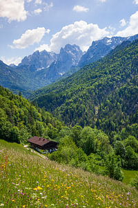 Kaisertal mit Blumenwiese und Ellmauer Halt,  Kaisergebirge, Tir
