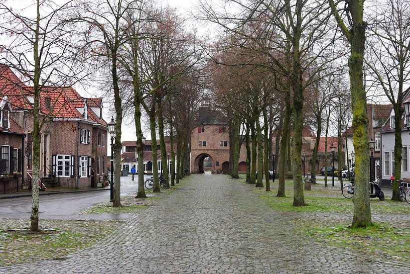 Vischmarkt in Harderwijk van Gerard de Zwaan