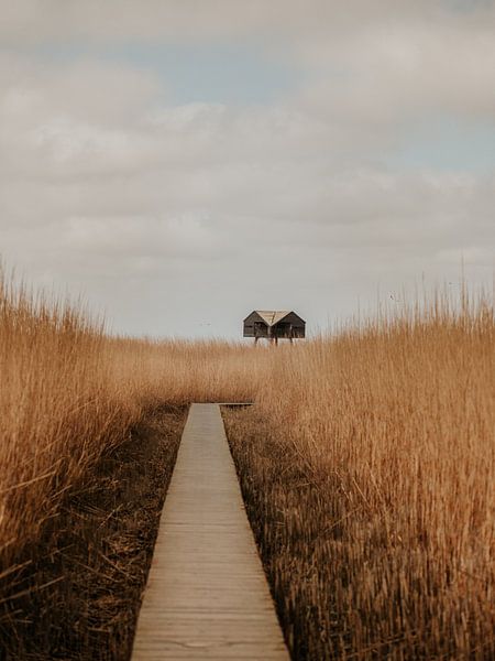 Kiekkaste par José Lugtenberg