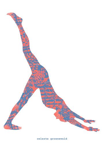 Three Legged Downward Dog