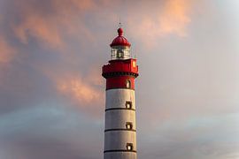 Red &amp ; White Elegance sur Piermarco Raimondo