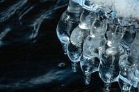 Gros plan sur des sculptures de glace en hiver à Iéna sur la Saale