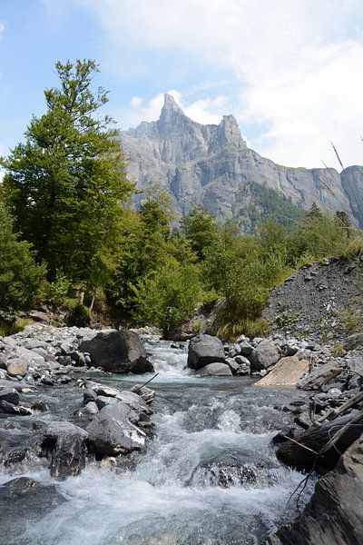 Le Giffre &amp; Le Pic de Tenneverge, Sixt-Fer-à-Cheval, France by Yvette J. Meijer