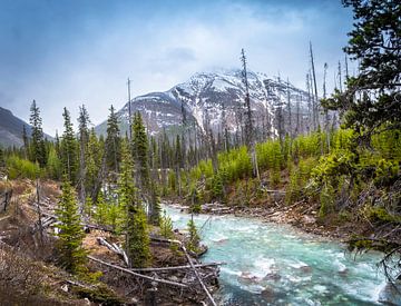 Snelstromende rivier bij Marble Canyon, Canada van Rietje Bulthuis