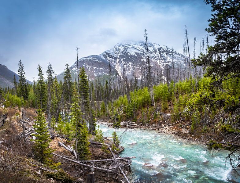 Rivière qui coule rapidement à Marble Canyon, Canada par Rietje Bulthuis