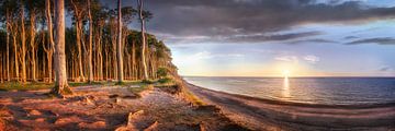 Kustlandschap aan de Oostzee in Mecklenburg Vorpommern van Voss fotografie