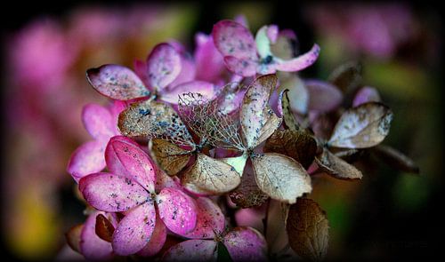 levendig en toch ook niet