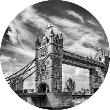 Tower bridge, London van Maerten Prins