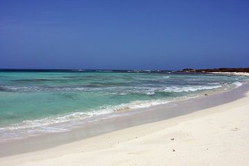 malmok beach 
