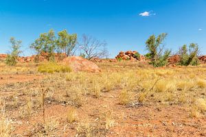 Kings Canyon - Australië van Troy Wegman