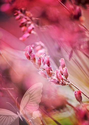 RED SPANGLES no1A-Butterfly