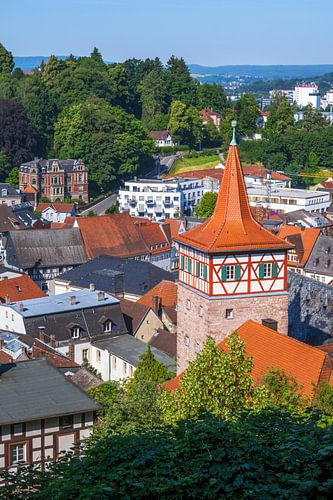 Uitzicht over Kulmbach