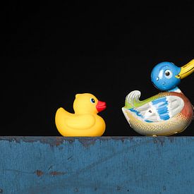 Suivez-moi sur Elles Rijsdijk