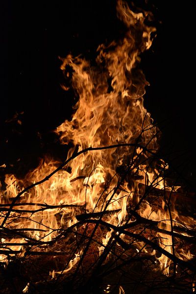 Vuur in de nacht par Ivon Hamers