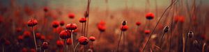 Red Flowers No 1