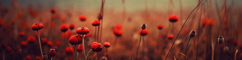 Red Flowers No 1 by Treechild