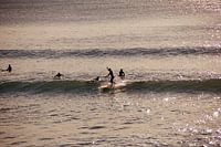 Surfing Malibu