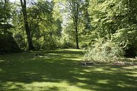 Spaziergang im Park