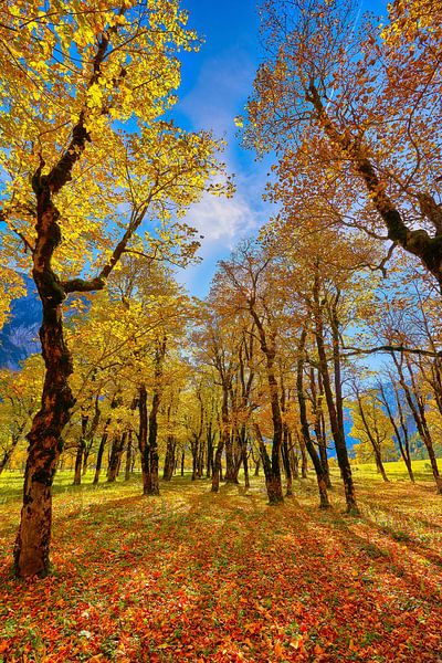 Großer Ahornboden Herbst von Einhorn Fotografie