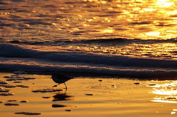 coucher du soleil sur Andrea Ooms