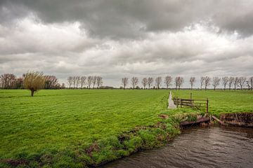 Niederländische Polderlandschaft an einem stürmischen Tag