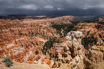 Bryce Canyon, USA. Dreigende storm. van Arthur van den Berg