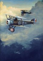 Skies of War