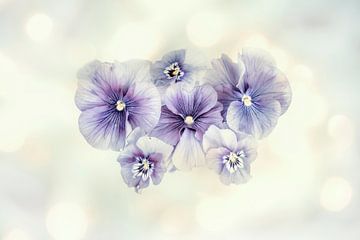 Soft Violets 2. ( drieluik ) Digital Art van Alie Ekkelenkamp